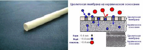 membrane